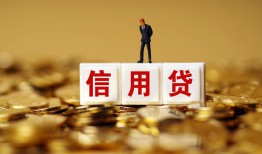 东莞17哪有个人借贷-东莞17小额贷款公司-东莞17私借空放免费上门