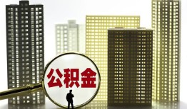 东莞17私人借贷平台-东莞17空放借钱不看资产-东莞17地区身份证贷款