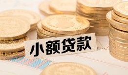 东莞17身份证贷款平台-东莞17私人借贷不查征信-东莞17空放借钱