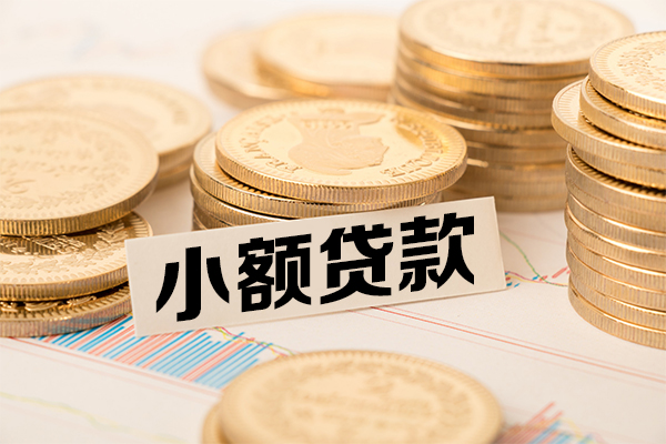 东莞17身份证贷款平台